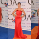 Image for article titled Shimmery Gowns and Plunging Necklines at the CFDA Fashion Awards